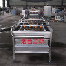 白蘿卜自動化毛輥噴淋清洗機