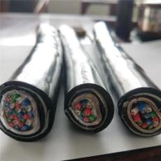 通信電纜HSGWPP22-2X6L