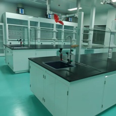 百色实验边台/中央操作台/通风柜/试剂柜/药品柜/仪器柜_供应商-鸿嘉