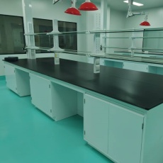 东兴实验边台/中央操作台/通风柜/试剂柜/药品柜/仪器柜_供应商-鸿嘉