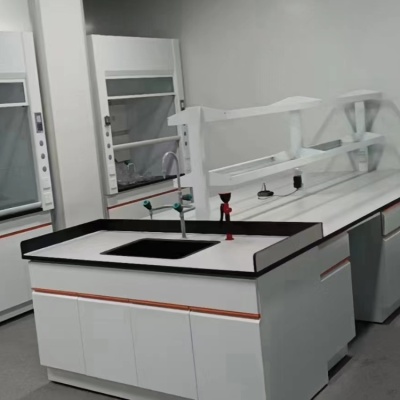 大新实验边台/中央操作台/通风柜/试剂柜/药品柜/仪器柜_供应商-鸿嘉