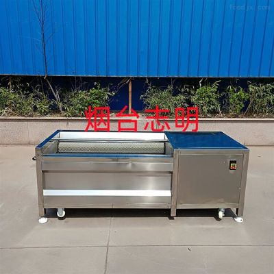 胡蘿卜毛輥清洗機(jī)清洗果蔬效果好