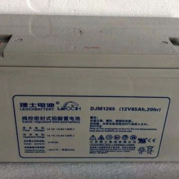 鄂爾多斯直流屏理士蓄電池DJM12100S原裝全新