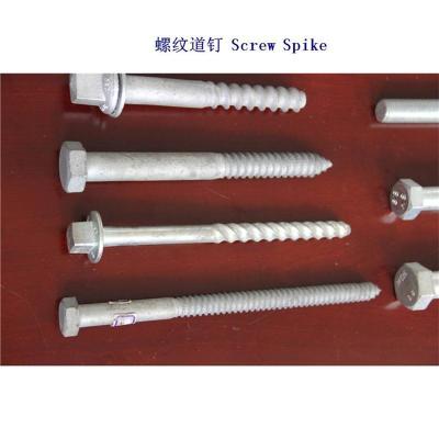 津巴布韦Ss76轨道螺钉生产厂家