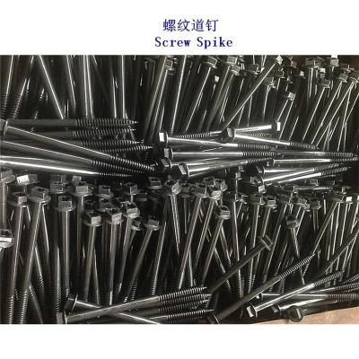 美国Ss8轨道螺钉生产工厂