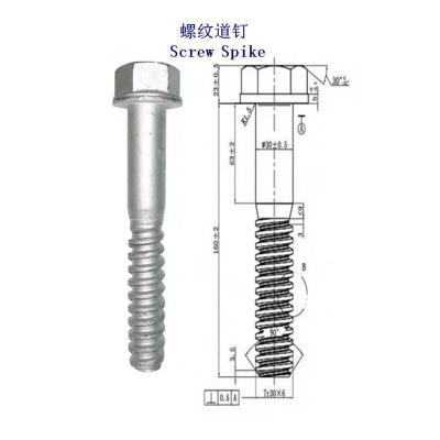 阿联酋高碳钢轨道螺钉生产工厂