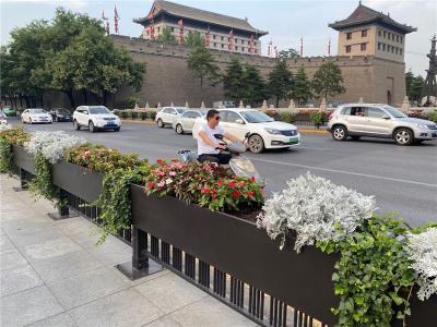 天津市政道路护栏花箱厂家