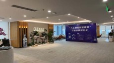 盐田港抚养权怎么判定