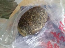 焦作靠谱的牛宝长期收购鉴定
