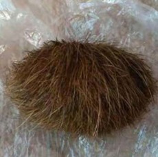 张家界正规的牛宝收购商
