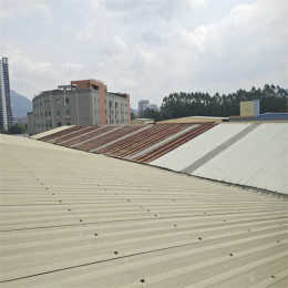 肇庆市本地专业防水哪家好