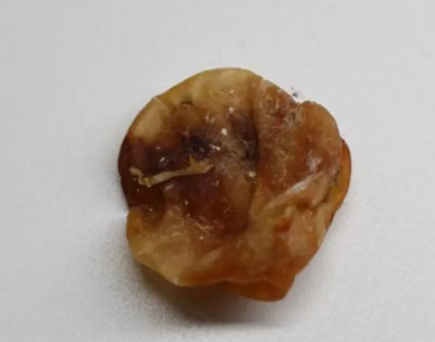 天津遠(yuǎn)郊五區(qū)鴨寶售賣多少錢一克