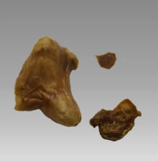 北京豐臺區(qū)鴨寶售賣當天結(jié)算