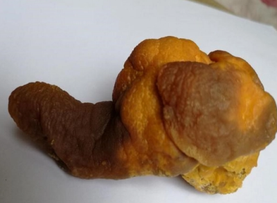 上海奉賢區(qū)鴨寶高價(jià)收購(gòu)靠譜的機(jī)構(gòu)有哪些