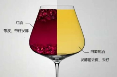 浙江宴會用法國紅酒閃爍系列葡萄酒名莊
