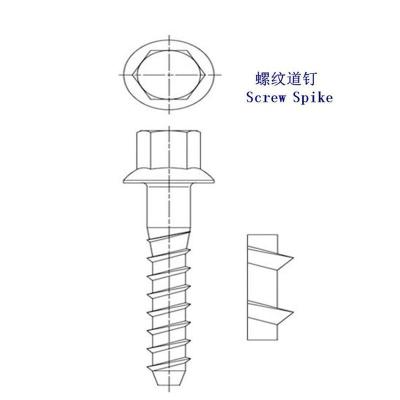 匈牙利5.8级轨道螺钉厂家