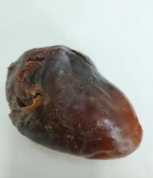 寶山區(qū)豬寶是什么樣子的