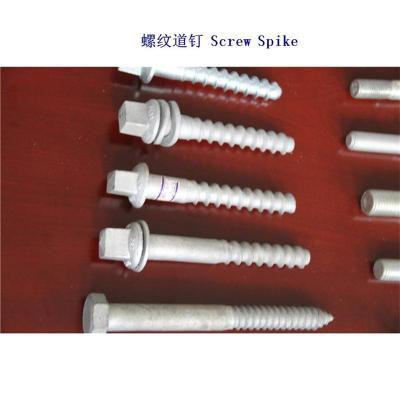 土耳其Ss35螺旋道钉生产工厂