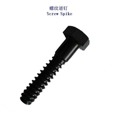 厄立特里亚Ss25轨道螺钉厂家