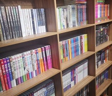 閔行區(qū)舊書回收畫集畫冊