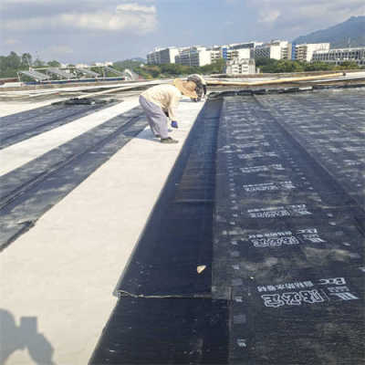 高栏港经济区本地外墙防水补漏哪家好