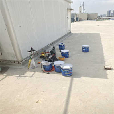 南头镇附近屋面防水补漏公司