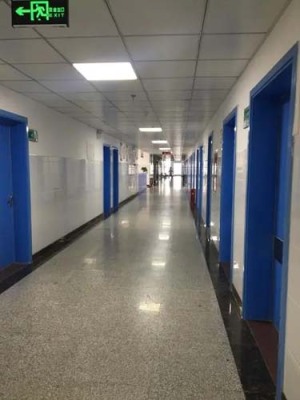 复旦大学附属眼耳鼻喉科医院孔祥梅代排队取药上海各科室精益求精