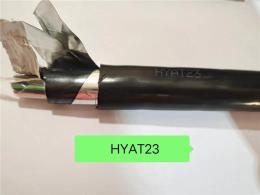 HYA23通信電纜-大對數(shù)電纜-天聯(lián)線纜 多芯