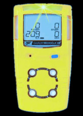 加拿大BW GasAlertMicroClip XL mcxl-xwhm