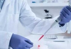 单细胞生物有什么