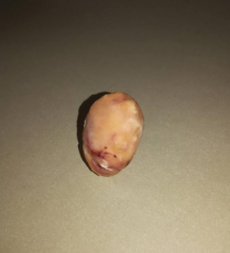 北京通州區鴨寶出售私人老板怎么聯系