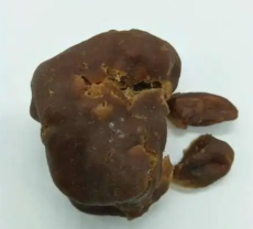北京通州區鴨寶售賣聯系方式