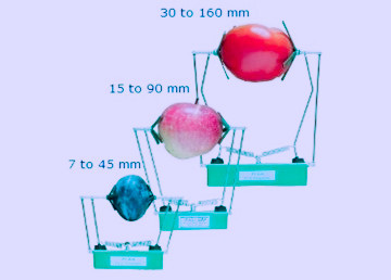 FI-LT/FI-MT/FI-ST果实生长传感器