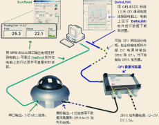 Delta-TServices總輻射傳感器SPN1代理商