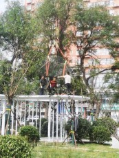 寧夏有實力的中式鋁合金廊亭賣家