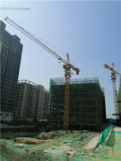 惠东地区塔吊租赁询价电话