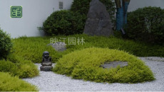 橋西區別墅庭院設計施工