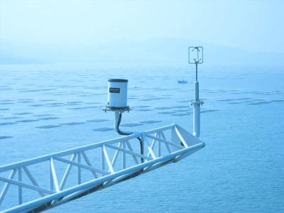 R3-100研究级三维超声风速风向仪英国GILL