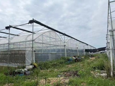 滁县蔬菜大棚镀锌管设计施工报价
