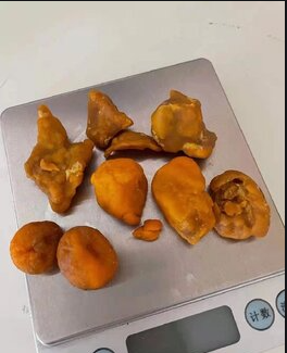 岳阳楼区羊宝专业鉴定
