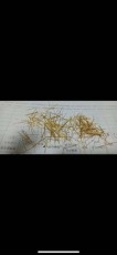青海長期釕鋅催化劑回收商家