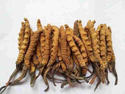 广州贵州茅台酒回收行情