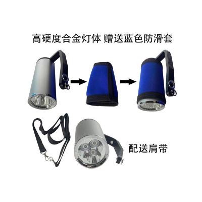 鼎軒照明B8020手提式防爆探照燈9W