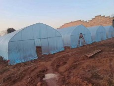 佳木斯温室连栋大棚骨架包工包料