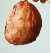 錦州雞寶免費鑒定
