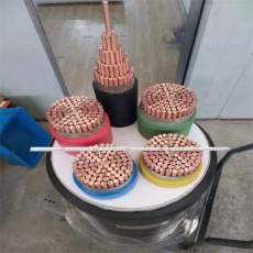 揭陽津成橡套電纜現貨批發