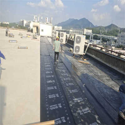 谢岗周边外墙防水补漏公司电话