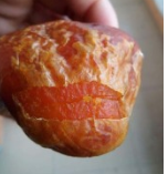 广饶县鸡宝免费鉴定
