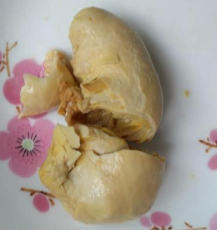 芝罘区鸡宝哪里鉴定收购
