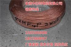 高溫計算機電纜廠家/DJFFP2R2*2*1.0